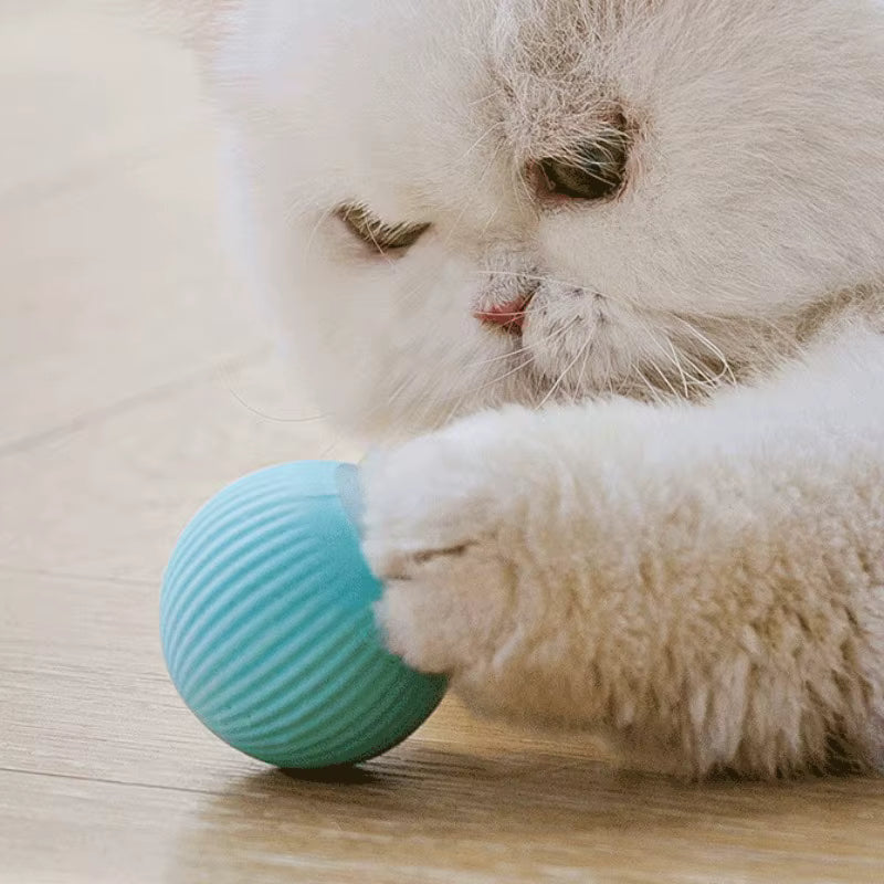 🐱 Balle Interactive Automatique pour Chat