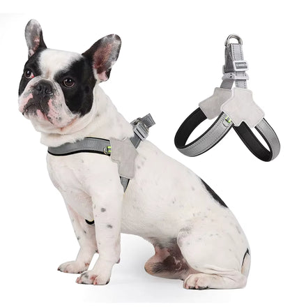 Harnais Réfléchissant Anti-Traction pour Chien – Confort & Sécurité