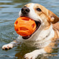 Balle Résistante pour Chien – Jeu & Mastication 🐾