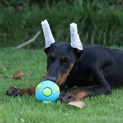 Balle Interactive pour Chien – Jeu & Stimulation 🐾
